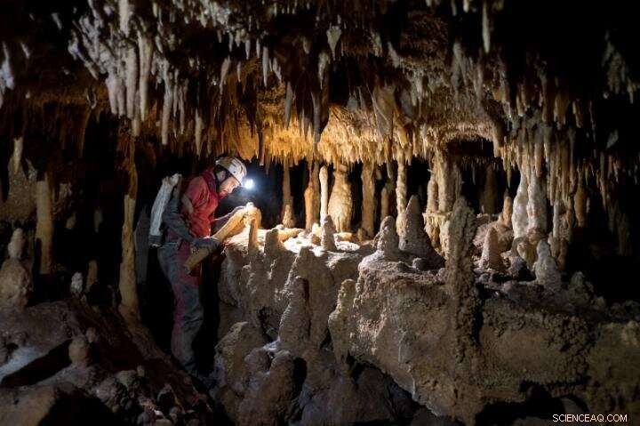 New Evidence Shows Western Mediterranean Neanderthals Survived Climate Shifts