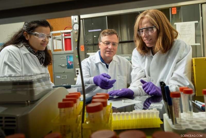 New Tooth Enamel Protein Technique Lets Archaeologists Identify Sex of Human Remains