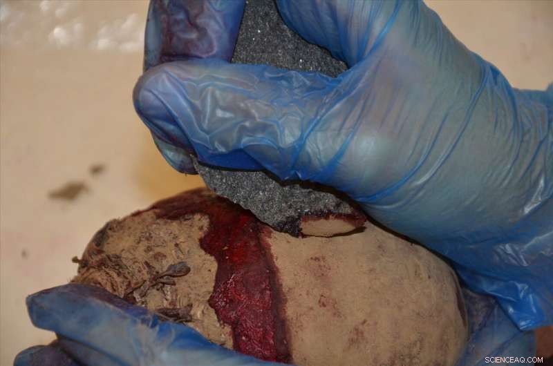 Comprehensive Use-Wear Analysis of Basalt Tools from Olduvai Gorge