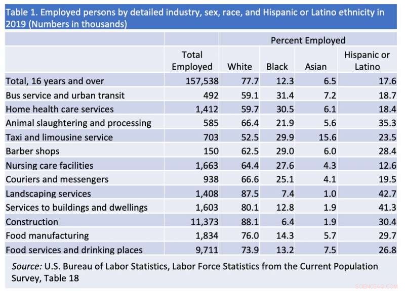 Telework Benefits Skewed: White, Affluent Workers Gain Most, Climate Impact Is Limited