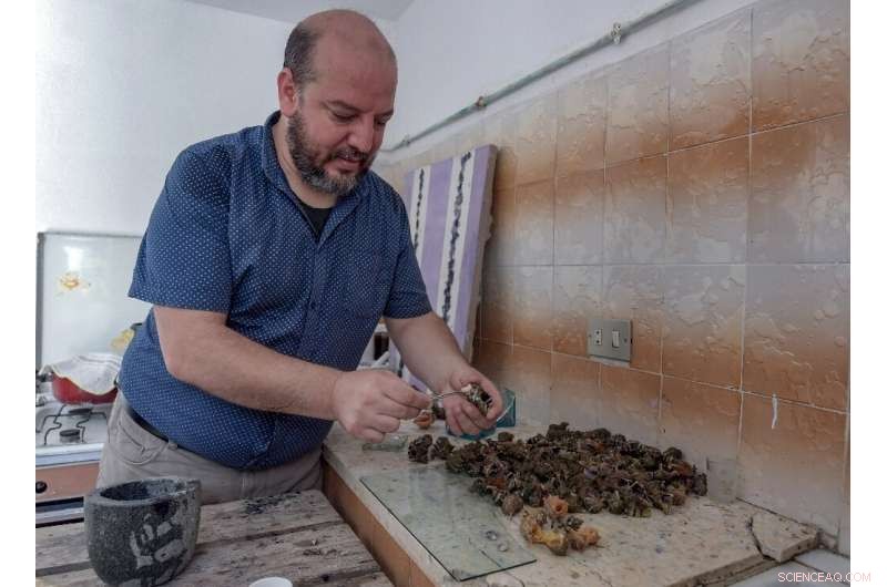 Reviving Tunisia’s Ancient Purple Dye: How a Modern Artisan Recreated a Royal Imperial Color