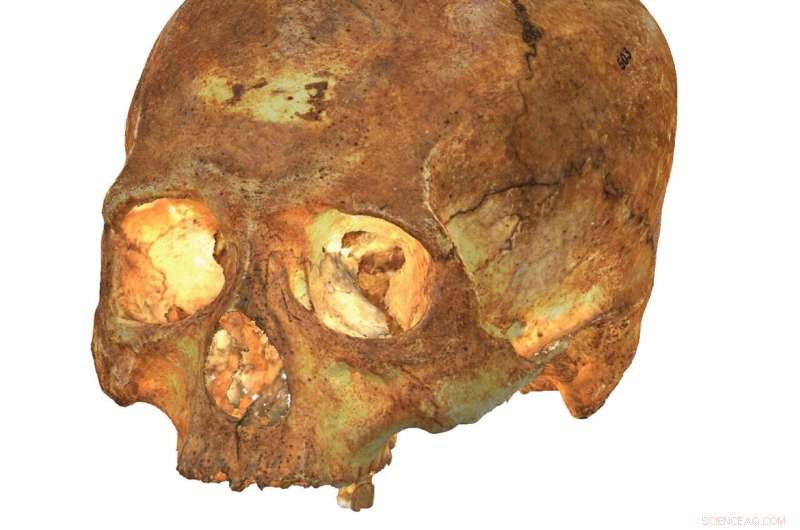 Groundbreaking 3‑D Reconstruction of Pre‑Columbian Caribbean and South American Crania