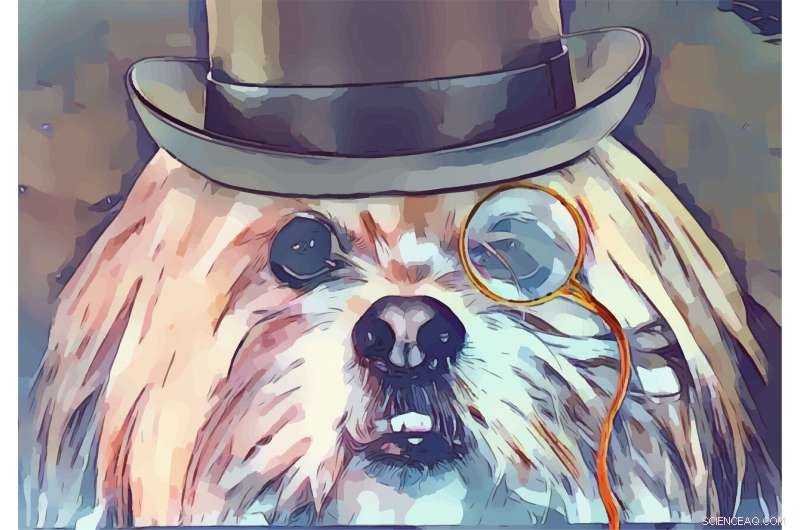 Landlord‑Favored Eviction Courts Risk Exacerbating COVID‑19 Housing Crisis