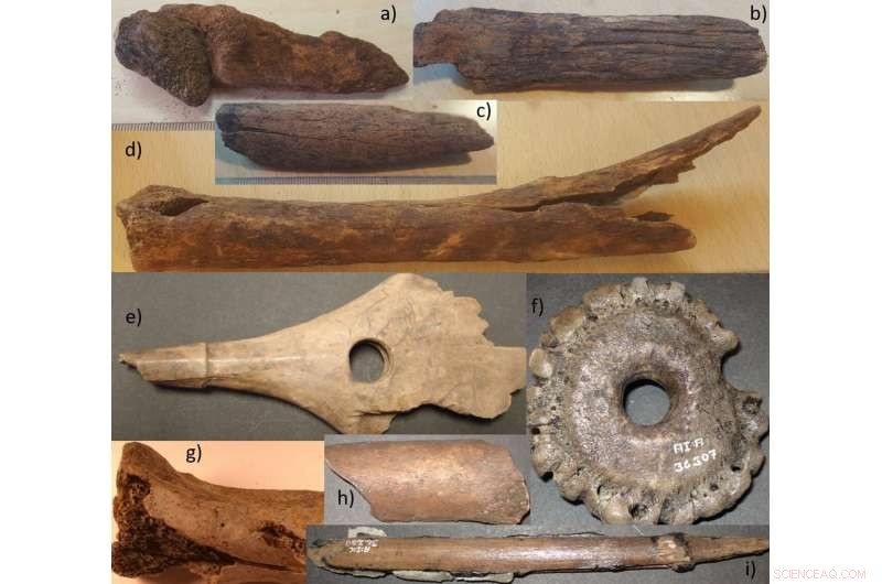 Urgent: Rapid Bone Decay Threatens 70-Year Legacy of a Renowned Mesolithic Peat Bog