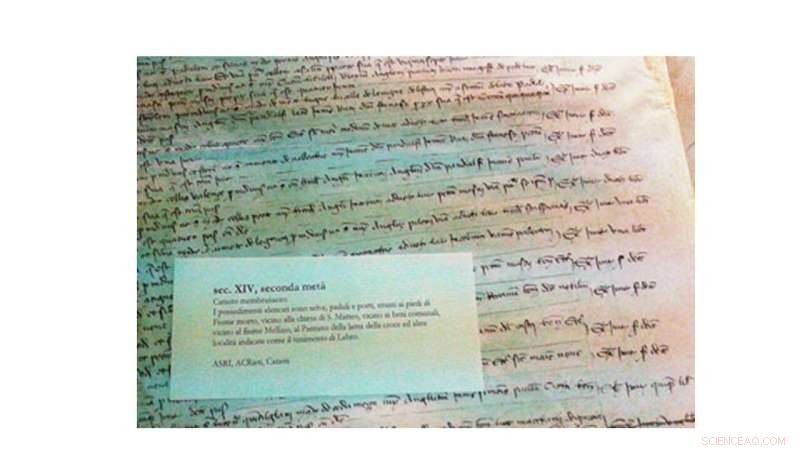 Impact of Medieval Human Activities on Italian Forest Dynamics: Insights from the Lago Lungo Reserve