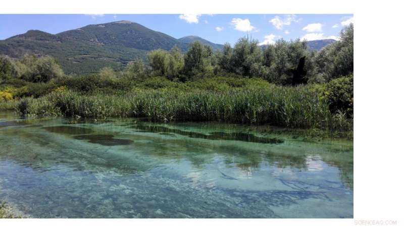 Impact of Medieval Human Activities on Italian Forest Dynamics: Insights from the Lago Lungo Reserve