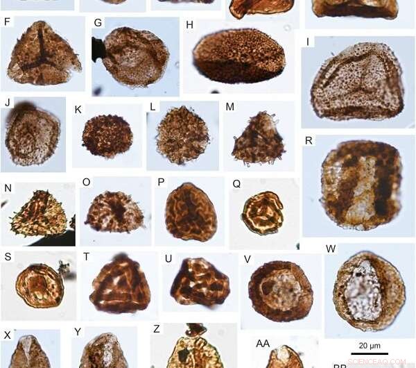 New Study Uncovers Palaeovegetation & Climate Shifts During Triassic‑Jurassic Transition in Southern China