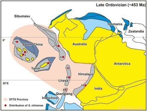 First Global Discovery of Extinct Cephalopod Sinoceras chinense in Thailand