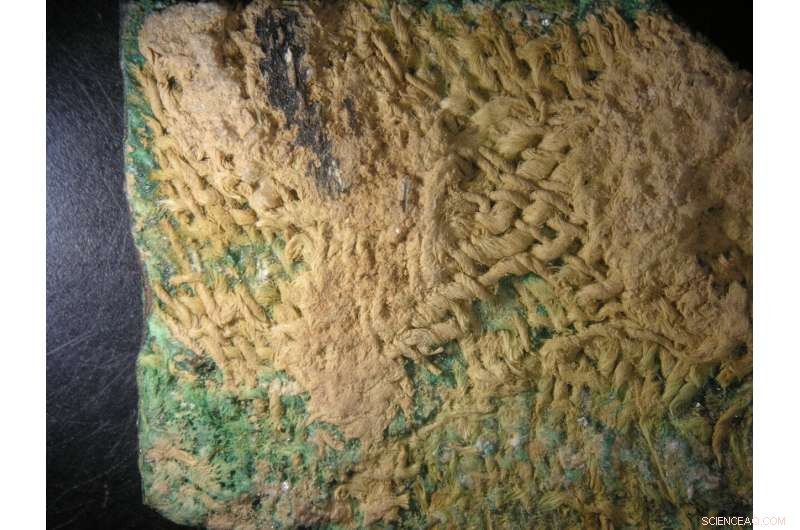 Mineralization Explained: How Ancient Textiles Become Fossilized Artifacts