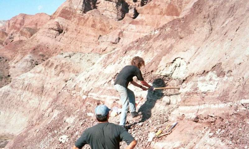 Early Mammals Prey on Dinosaurs: Fossil Evidence Reveals 160‑Million‑Year‑Old Predation