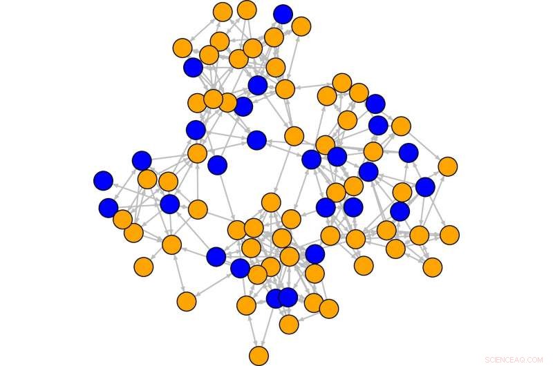 How Social Networks Drive Academic Success