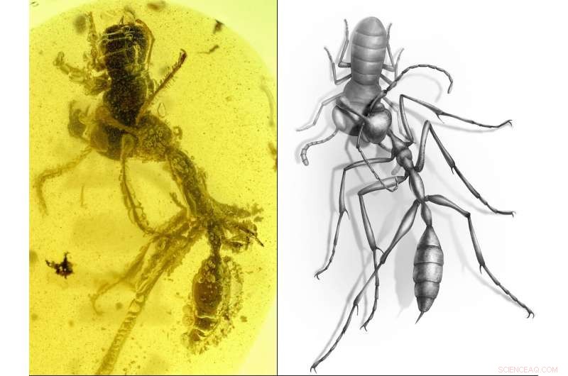 Fossil Reveal: How 99‑Million‑Year‑Old Hell Ants Used Headgear to Hunt