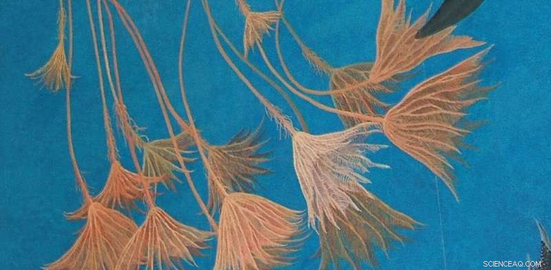 How Ancient Sea Creatures Traveled Across Oceans on Rafts – A Scientific Breakthrough