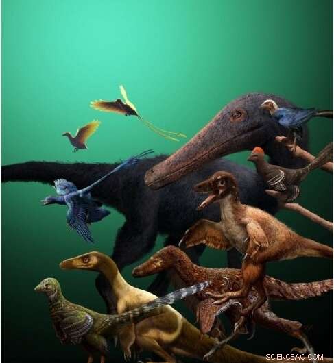 From Flightless to Flyer: How Bird Relatives Approached Powered Flight