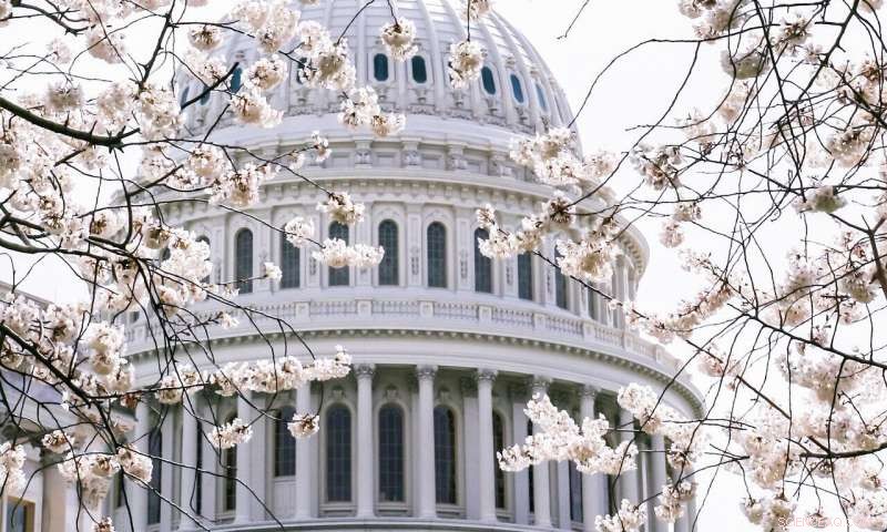 How Congress Members Gain Influence on Instagram: Key Factors Revealed