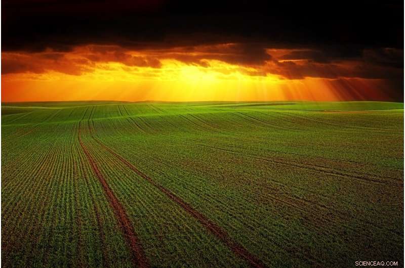 Examining How Pandemic Spending Tests AOC’s Preferred Economic Theory