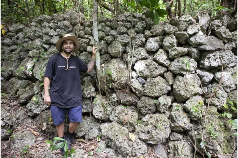 New Study Reveals Indigenous Australians Cultivated Bananas Over 2,000 Years Ago