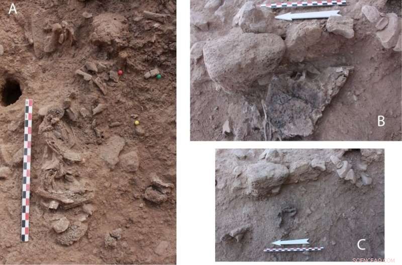 Earliest Known Cremation in the Near East Dated to 7,000 BC