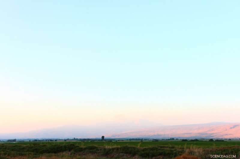 Earliest Known Cremation in the Near East Dated to 7,000 BC