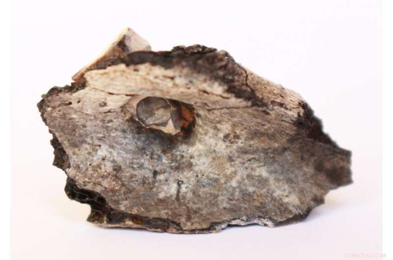 Earliest Known Cremation in the Near East Dated to 7,000 BC