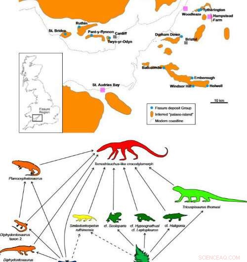 Paleontological Insights: Reptiles of Ancient North America on South Wales  Island Archipelago