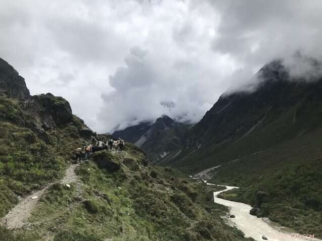 Reviving Nepal’s Yak Cheese: Protecting Tradition Through Pastoralist Practices