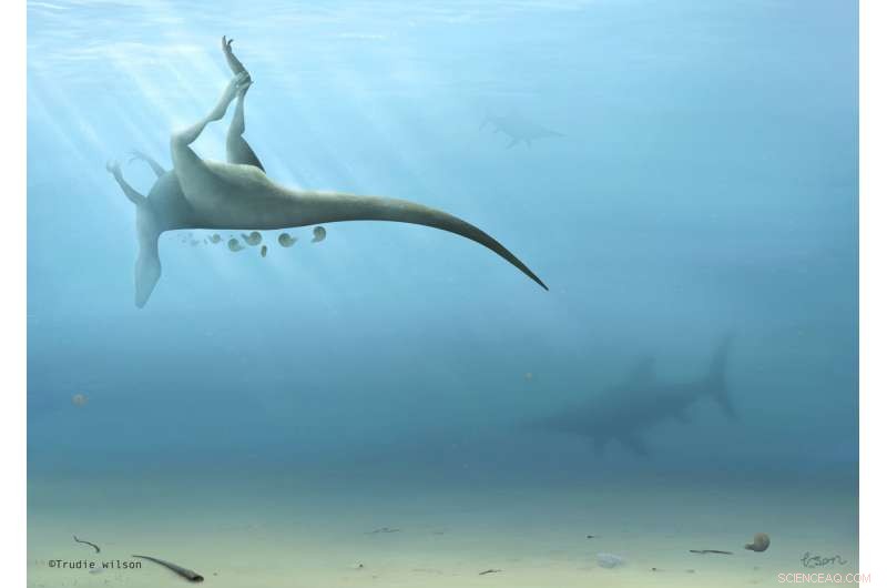 Scientists Identify New Theropod Species on Isle of Wight