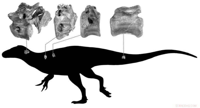 Scientists Identify New Theropod Species on Isle of Wight