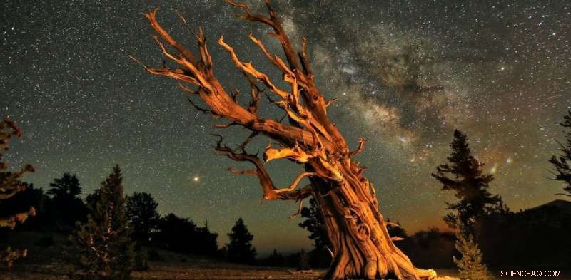 Revised Carbon‑Dating Timeline Redefines Our View of History and Climate Change