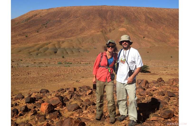 Cambrian Fossil Trails Unveil Early Marine Biodiversity