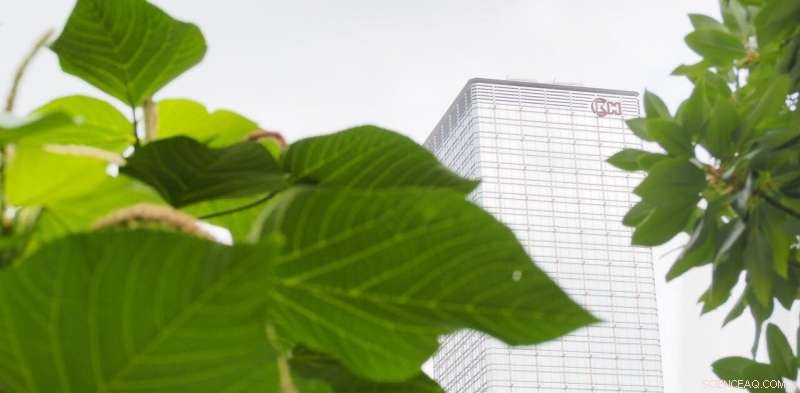 Adopting Green Practices Fuels Business Recovery from COVID-19