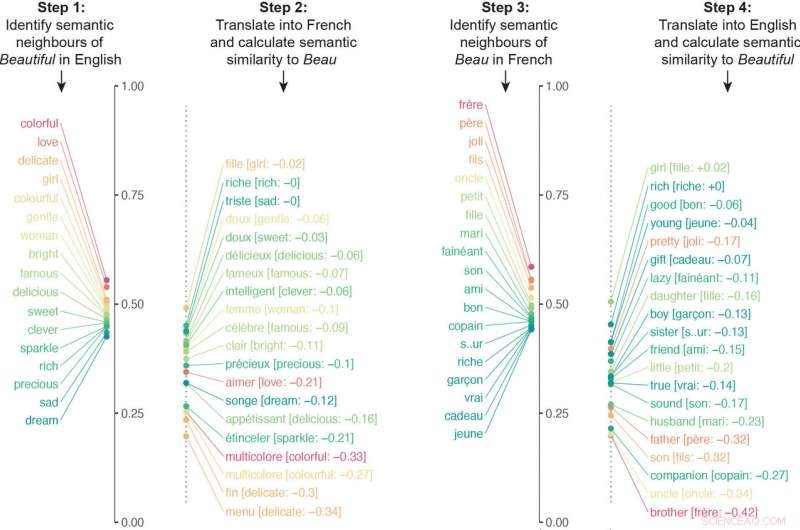 Machine Learning Uncovers How Culture Shapes Word Meanings