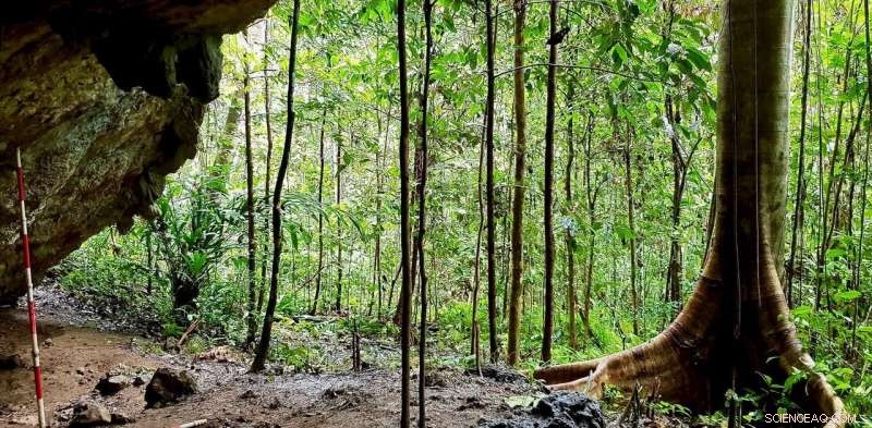 Stone Tools Reveal How Ancient Island‑Hopping Humans Sustained Themselves