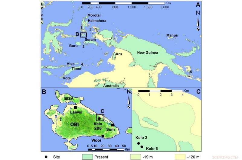 Stone Tools Reveal How Ancient Island‑Hopping Humans Sustained Themselves