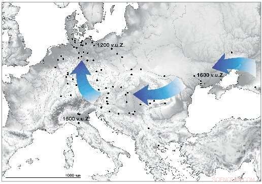 The Rapid Adoption of Foreign Foods in Bronze Age Europe