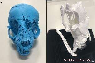 Unveiling Ancient Egyptian Animal Mummies Through High-Resolution 3D X‑Rays