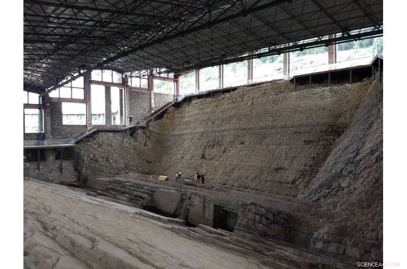 Rare Find: Giant Ichthyosaur Preserved with Prehistoric Prey Inside Its Stomach