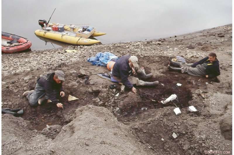 How Unique Bone Structure Allowed Dinosaurs to Carry Massive Weight