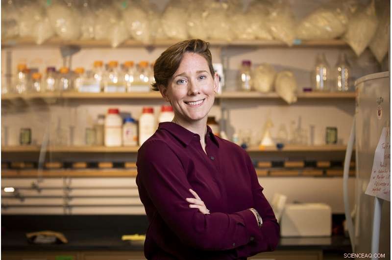 Experts Warn Quick Fixes Won’t End Sexual Harassment in Academia