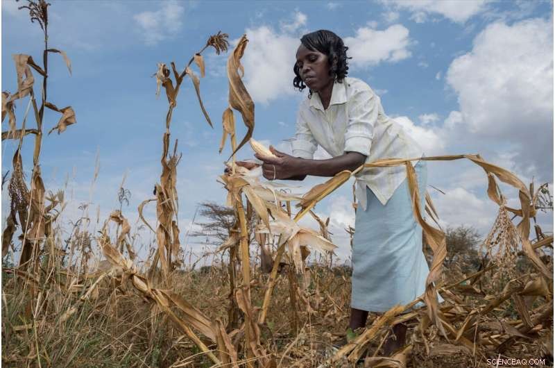 AGRA Faces Criticism for Missing Double-Yield Promise, Raising Farmer Debt Concerns