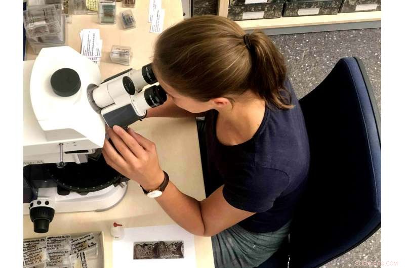 Unveiling Ancient Insights: How Dinosaur Biology Advances Modern Medicine