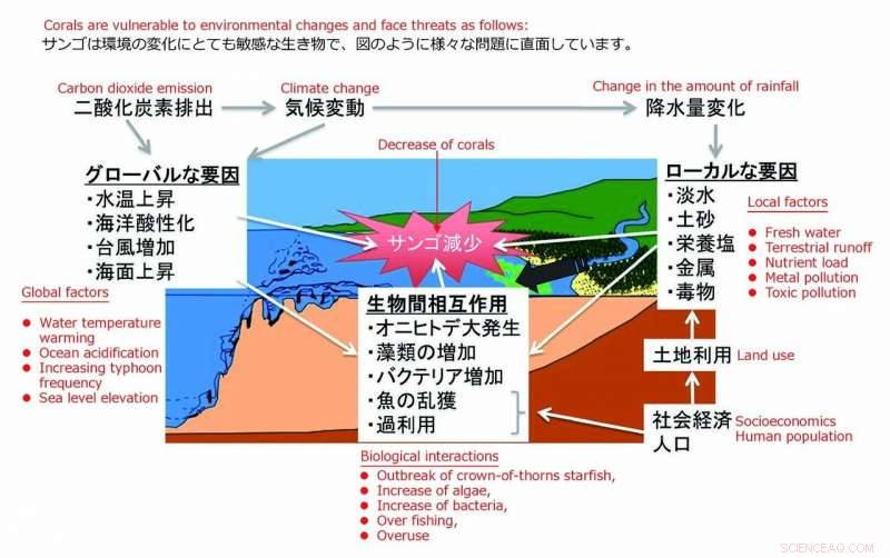 Study Reveals Videos Can Lower Conservation Support Compared to Text and Photos