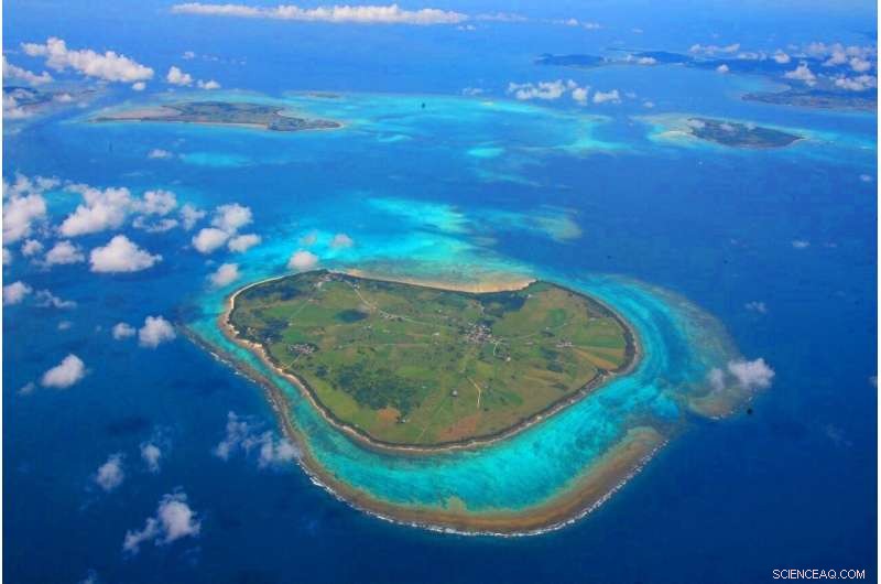 Study Reveals Videos Can Lower Conservation Support Compared to Text and Photos