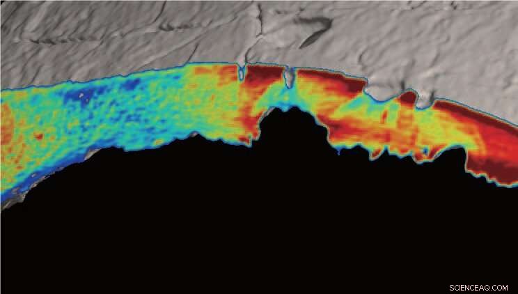 New Extinct Bivalve Species Found Inside Late Cretaceous Leatherback Turtle Shell