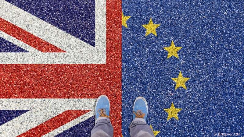 Tribalism Amplifies Brexit Debate: How Social Media Deepened the Remain vs Leave Divide