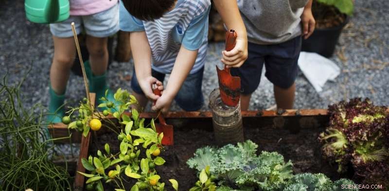 Outdoor Education: The Smart Choice for Schools Reopening After COVID