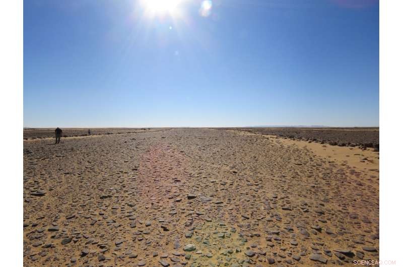 Mustatils Among the World s Oldest Stone Structures, Confirmed by Recent Survey