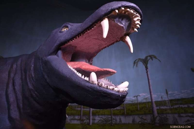 Leveraging Technology & Strategic Planning to Refresh Outdated Museum Exhibits