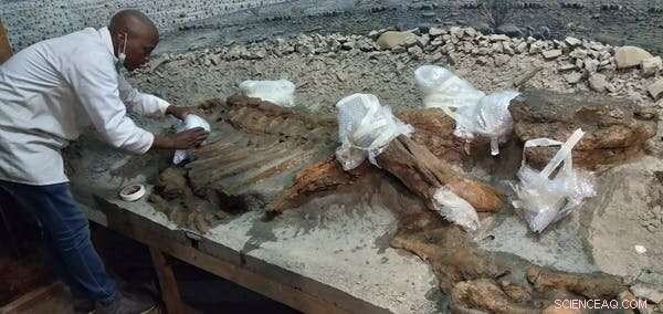 Leveraging Technology & Strategic Planning to Refresh Outdated Museum Exhibits