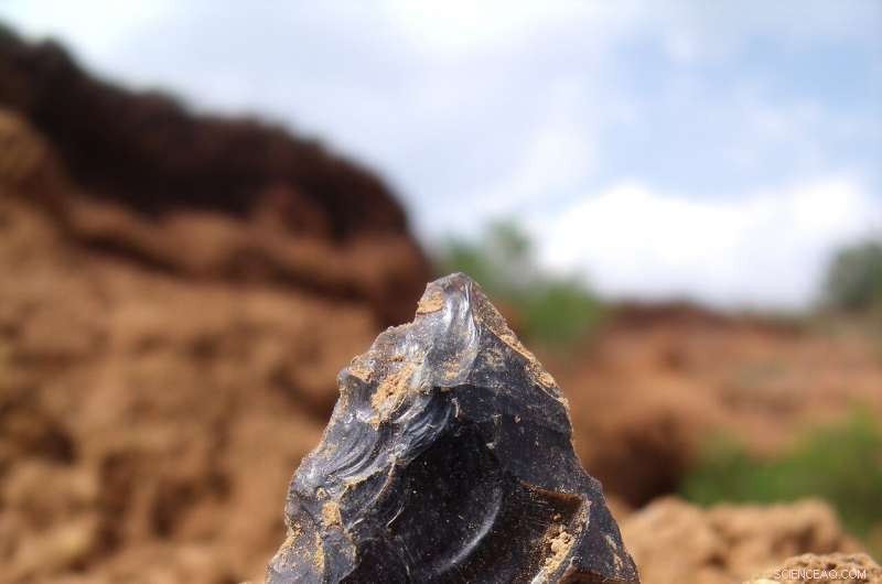 Advanced Neural Network Differentiates Middle and Late Stone Age Toolkits with Precision